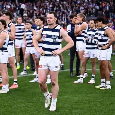 Cats need to 'sit' in GF disappointment: Dangerfield