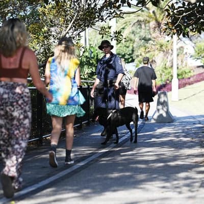 'Hands off': cops get message in strip-search compo win