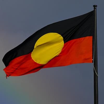 Health body leading by example with Indigenous voice