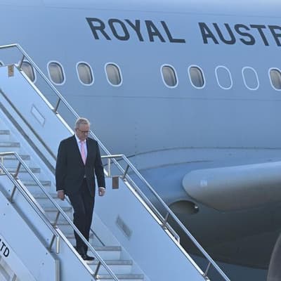 Albanese courts Middle Eastern supermarket giant Lulu