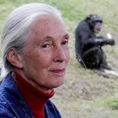 Wildlife advocate and primate expert Jane Goodall dies