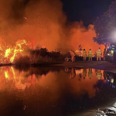 Destructive island bushfire sparked by holiday campfire