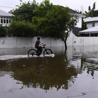 'Perfect storm' drives up the cost of natural disasters