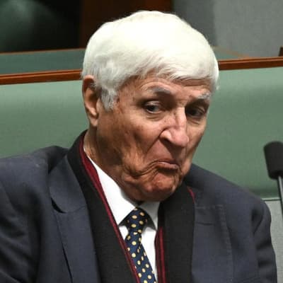 MP's unlikely answer for bored footy players and pests