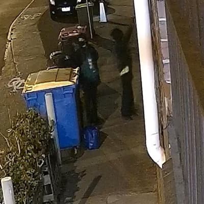 Masked trio sought over Hamas graffiti 'propaganda'