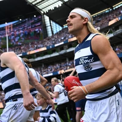 'Not about tiptoeing': Cats to look at Bailey's posts