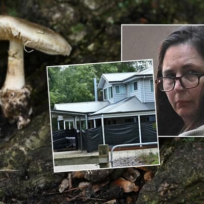 Why prosecutors are appealing Erin Patterson's sentence