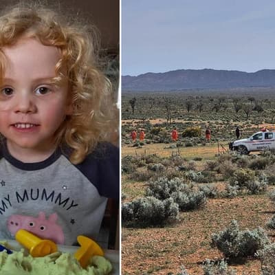 Taskforce established as search expands for missing boy