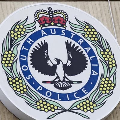 Coroner considers lead-up to police officer's death