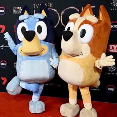 Push for action on stalled local screen quotas