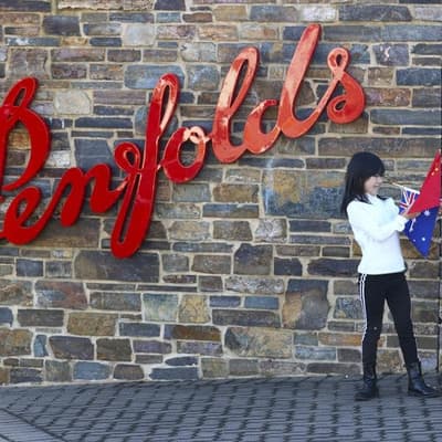 Penfolds owner's return to China not going as planned