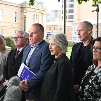 Anti-stadium leaders slam AFL's 'reckless overreach'