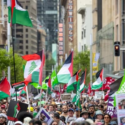 AI image shared with false claim about pro-Palestine protest