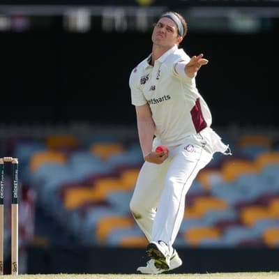 Swepson's career-best outing charges Bulls to big win