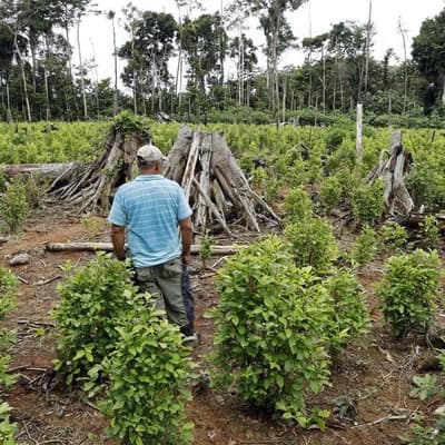 Colombian president a 'drug leader', says Trump