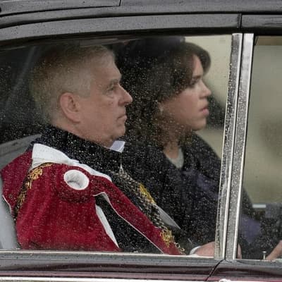 Andrew's team 'tried to hire trolls to hassle accuser'