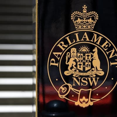 'Sword' could help millions act on human rights