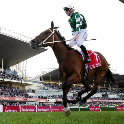 J-Mac chases Cox Plate history aboard Via Sistina