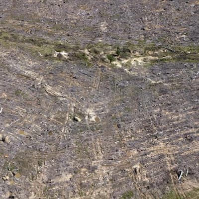 Battle ahead for Labor as details on nature bill emerge