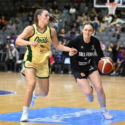 Lynx spring last ditch comeback to beat Flames