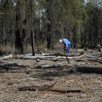 'Get on board': minister's environment overhaul appeal