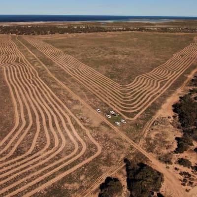 Native seed shortage 'undermines' Australia's eco goals