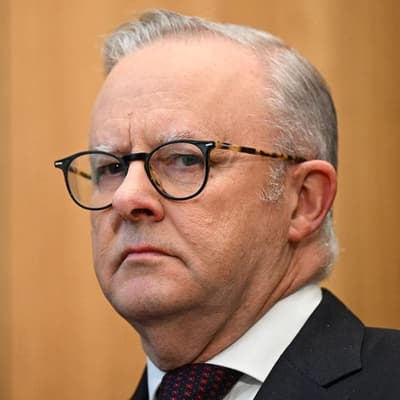 Albanese government gets F on its integrity report card