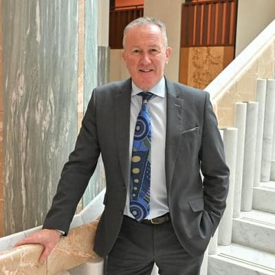 Labor's Irish roots prompt call for referendum help