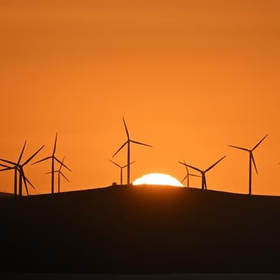 Urgent need for speed in renewable energy approvals