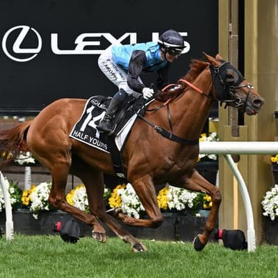 Half Yours completes historic Cups double for Melham