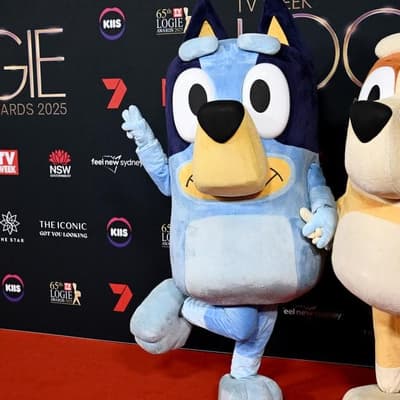 Aussie content rules welcome, but beware the fine print