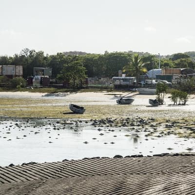 Golden eye on northern island after spot price surge