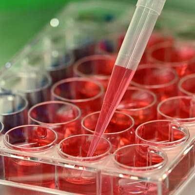 Research fund gap risks pandemic and biothreat defences