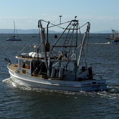 Insurance woes and warming oceans no fisherman's friend