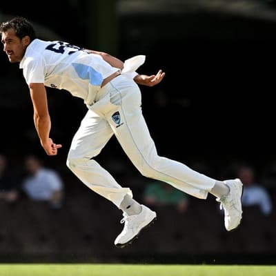 Starc tells curators to back themselves and go green