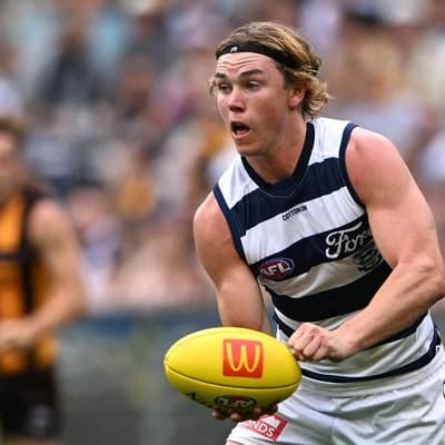 Cats gun was banned by AFL despite no stand-down policy