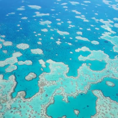 Legal loopholes threaten reef, ex-Treasury boss warns