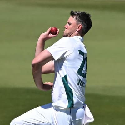 Webster stars but Tassie go down to SA in Shield