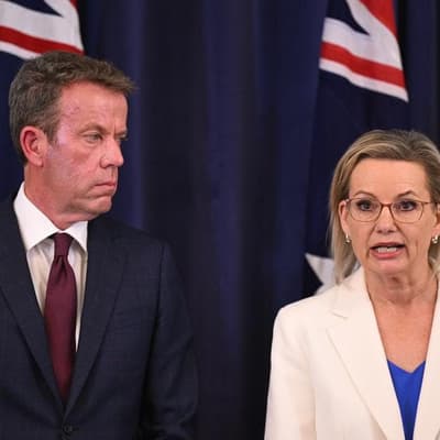 Liberals promise more coal and gas under climate policy