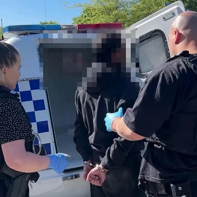 'Whatever it takes': Labor's youth crime political fix