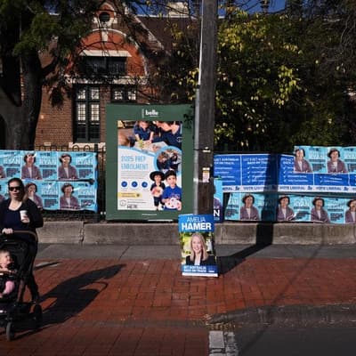 'Crossed a line': election volunteers plead for changes