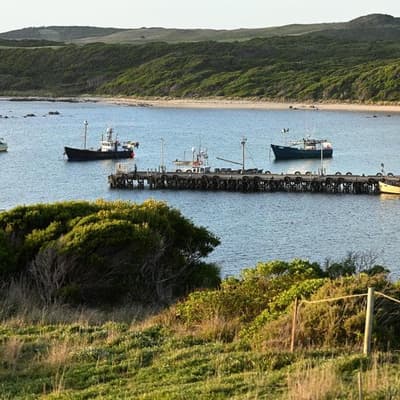 Australian economy 'island of security' in risky seas