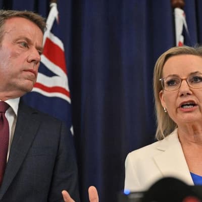 Doubts over Libs gas edict while pledging emissions cut