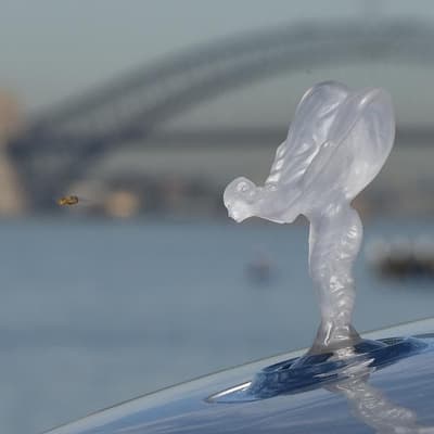 Mystery woman enters pleas over Rolls-Royce collision