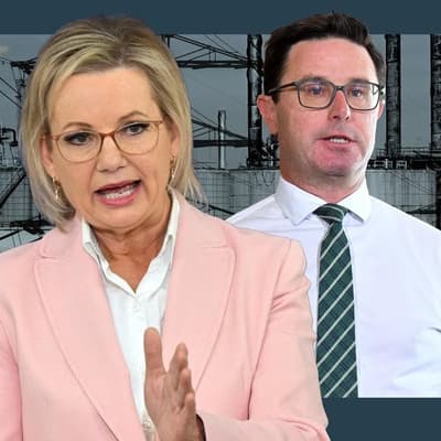 Coalition outlines climate plan after ditching net zero