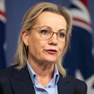 Moderate MPs rally around Ley amid leadership turmoil