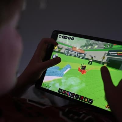 Roblox reforms over 'playground for pedophiles' concern