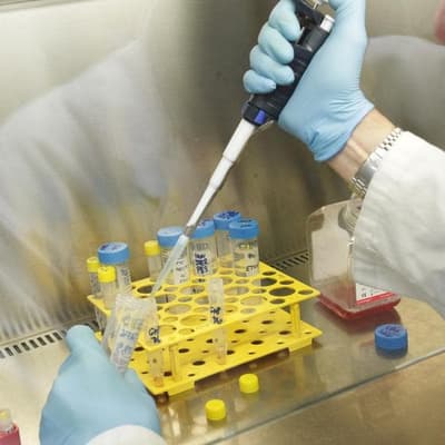 Oncology company reports promising cancer find