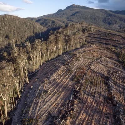 D-day looms for nature overhaul but final deal elusive