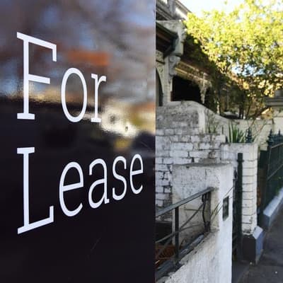 Green shoots for renters in social housing resurgence